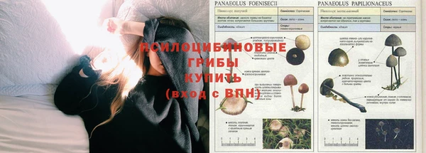 крисы Киреевск