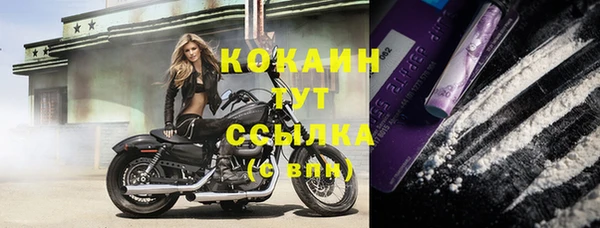 эйфоретик Касимов