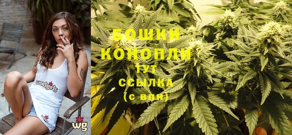 эйфоретик Касимов
